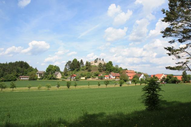 FDP Kreisverband Amberg-Sulzbach